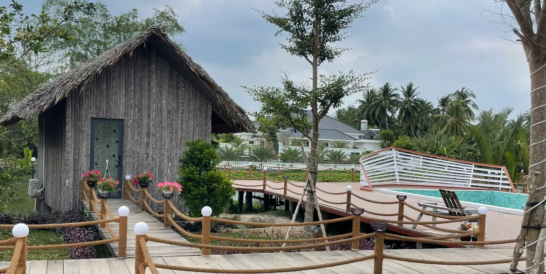ảnh small 1