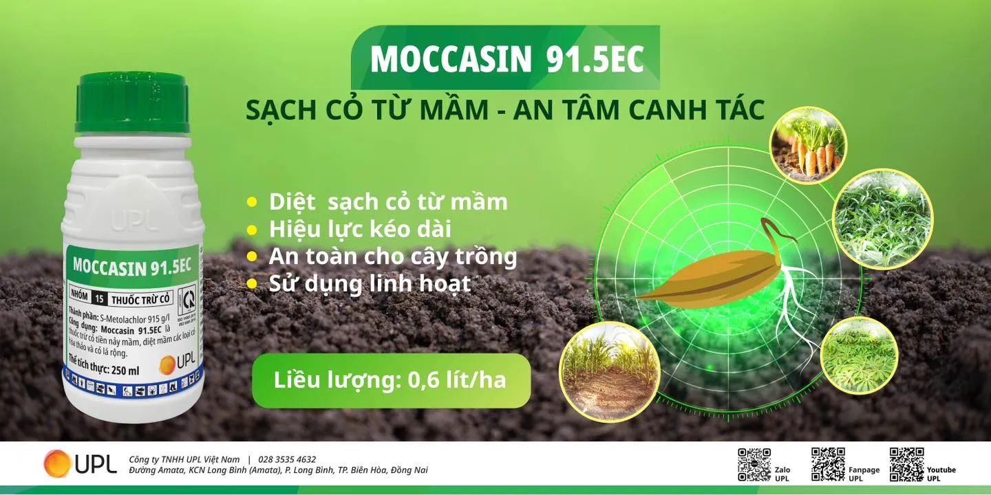 https://cdn.kiotvietweb.vn/merchant/055b9bfc13a8d3d02269a23465066846/cropped/1745856296/crop-file.webp