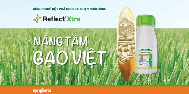 https://cdn.kiotvietweb.vn/merchant/055b9bfc13a8d3d02269a23465066846/cropped/1745856557/crop-file.webp