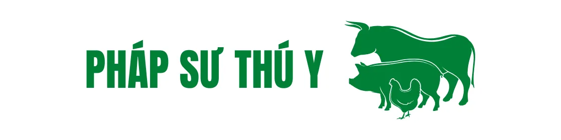ảnh 1