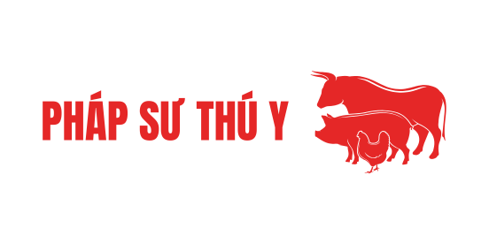 https://cdn.kiotvietweb.vn/merchant/101445ee8c76170fa3d91101ebf55eb8/other/1730444213/PH_P_S__2.png