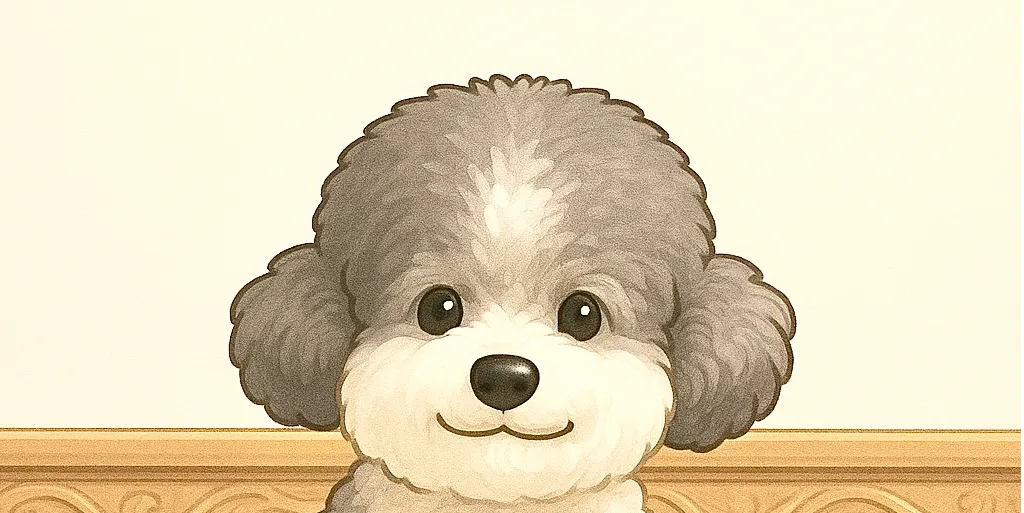 ảnh small 1