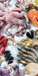 imgbanner