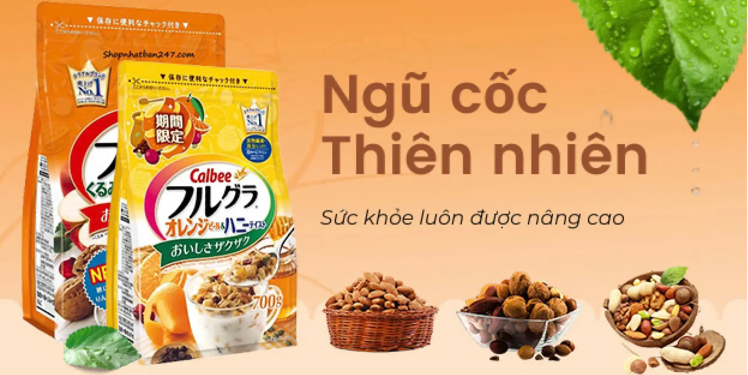 ảnh small 2