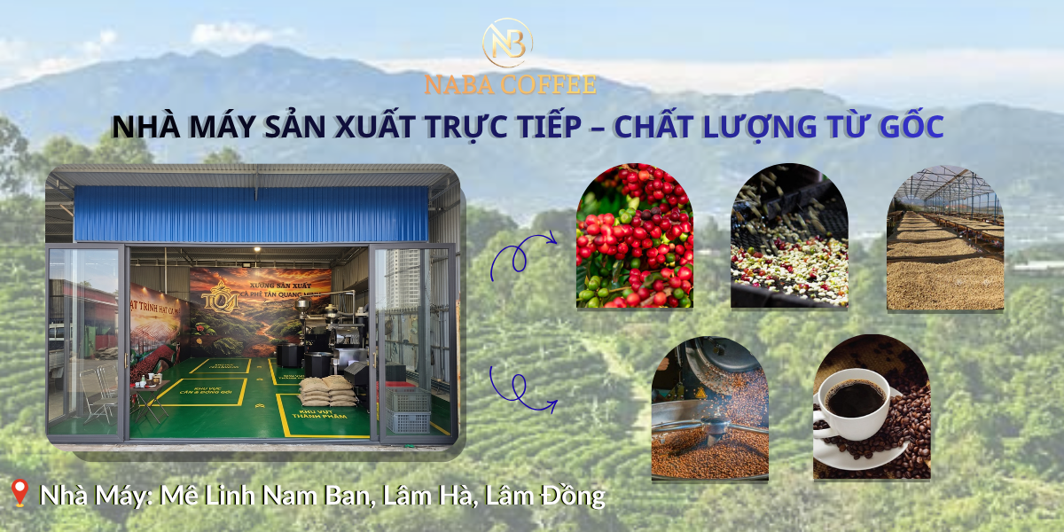 NABA COFFEE: TRỰC TIẾP SẢN XUẤT TẠI "THỦ PHỦ" CÀ PHÊ LÂM ĐỒNG