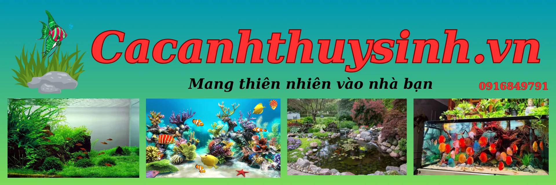 ảnh 1