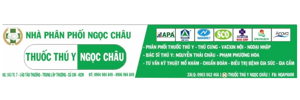 ảnh 1