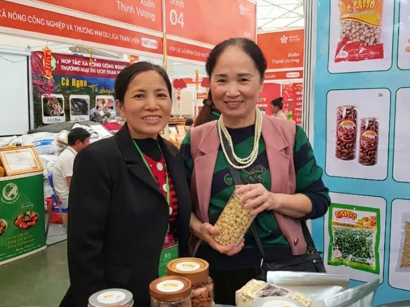 Gian Hàng Chín Ngôi Sao Đón Tiếp Khách Tham Quan Tại Hội Chợ Xuân VEC 2026