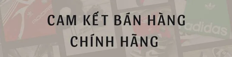 ảnh small 1