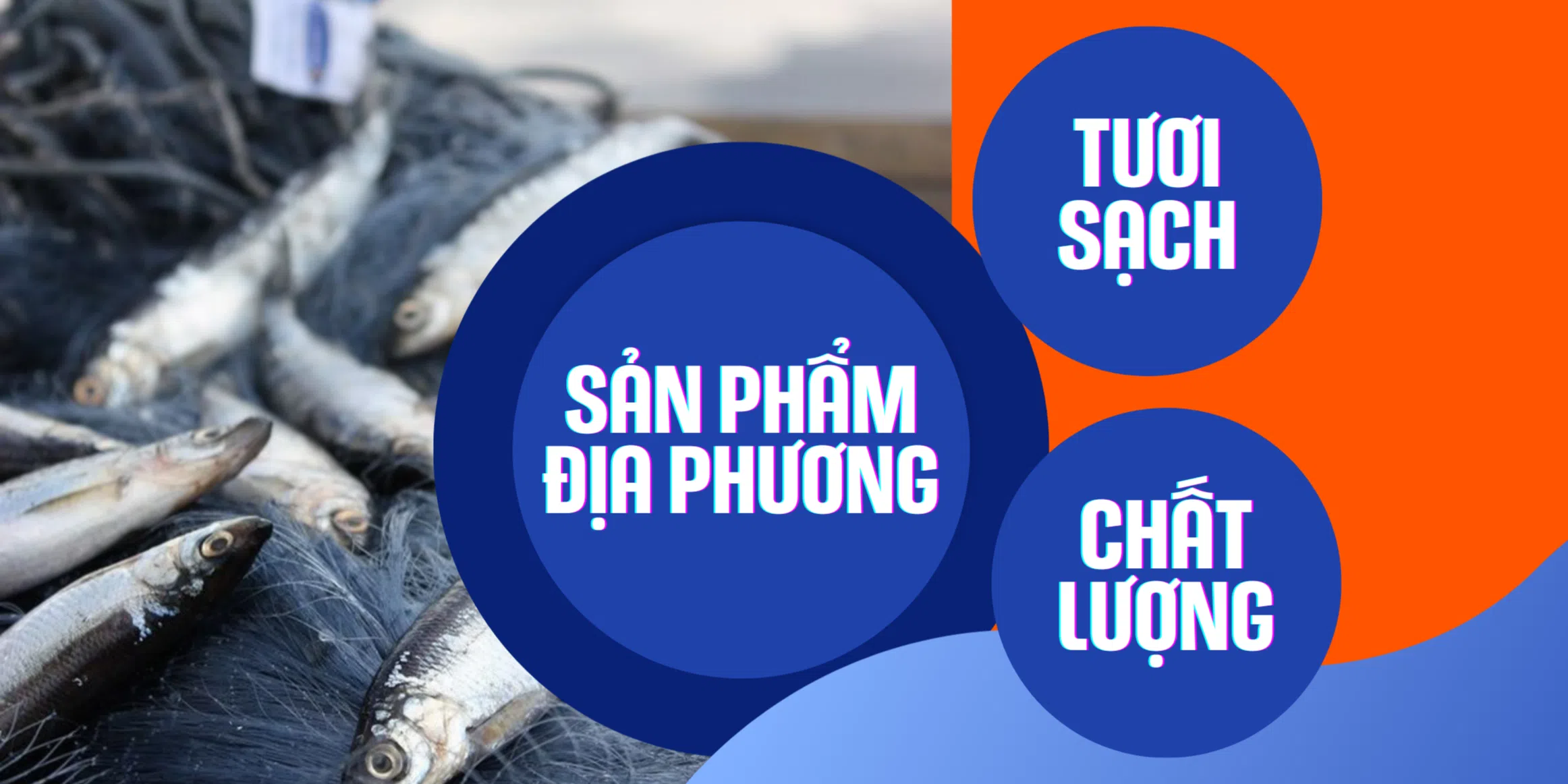 https://cdn.kiotvietweb.vn/merchant/38e548f4df6b6cb4559867efd2fc6ead/cropped/1758040421/crop-file.webp