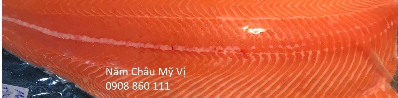 ảnh small 1