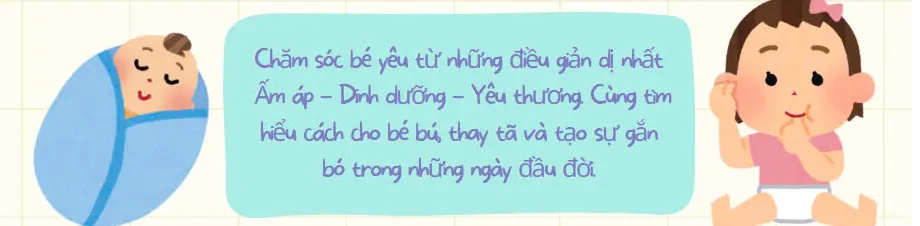 ảnh small 1