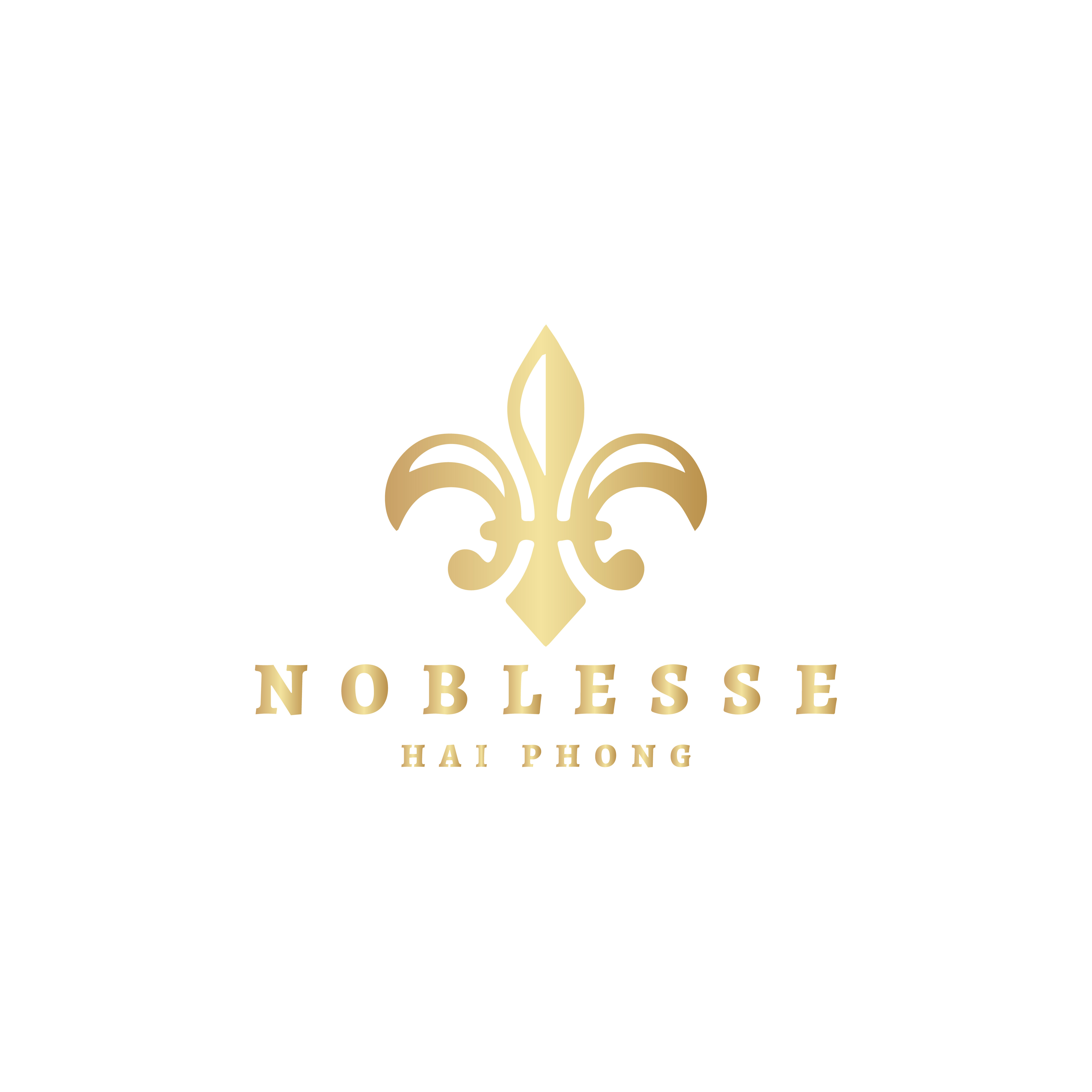 Noblesse Hotel Hải Phòng - Trang chủ