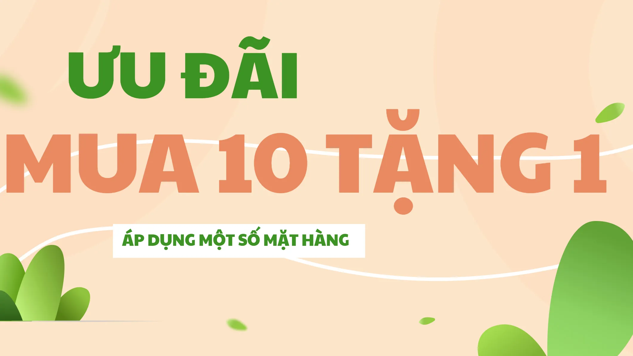 ảnh small 1