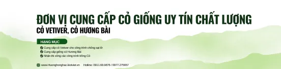 ảnh small 2