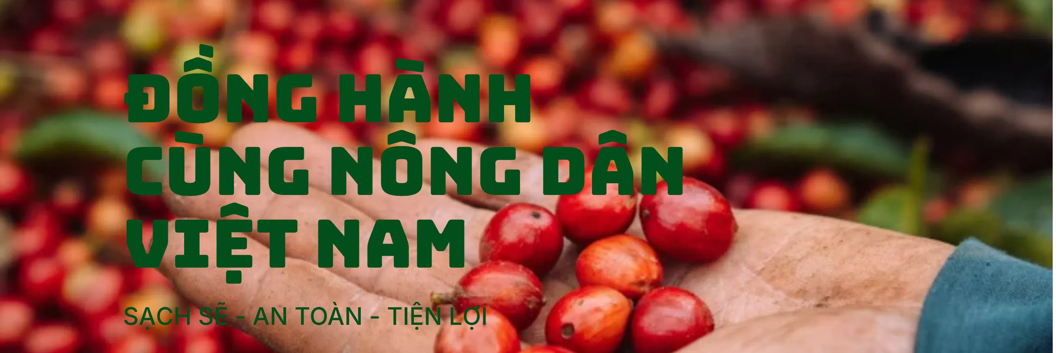 ảnh 1