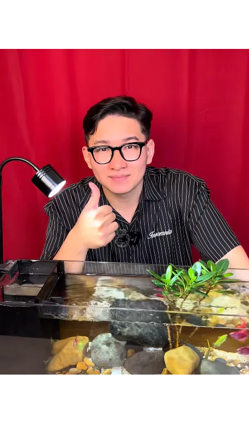 Sản phẩm bán chạy