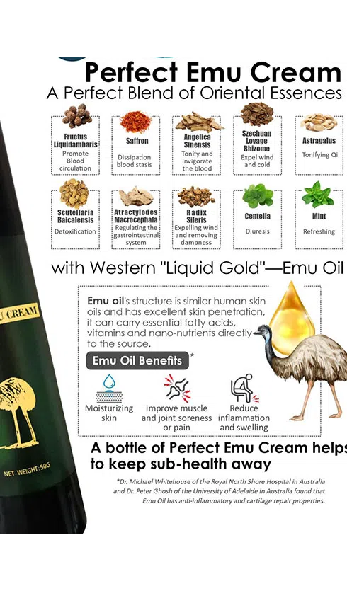 Sản phẩm nổi bật