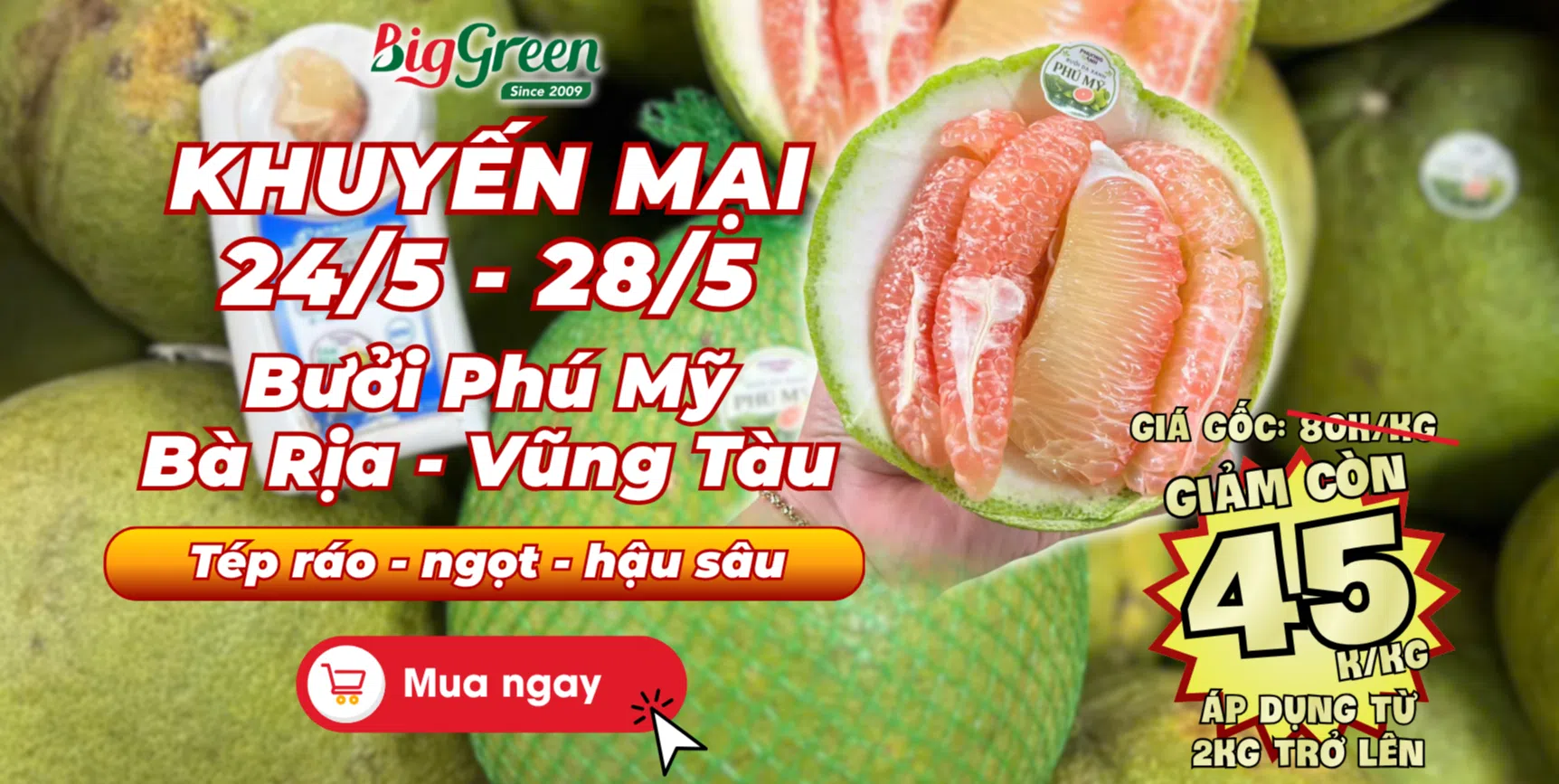 ảnh 1
