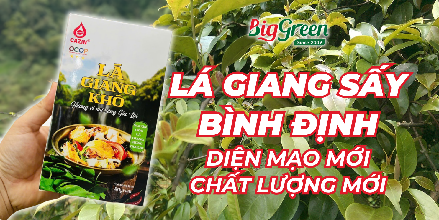 LÁ GIANG BÌNH ĐỊNH – ĐẶC SẢN TỪ THIÊN NHIÊN VỚI DIỆN MẠO MỚI CHỈN CHU HƠN