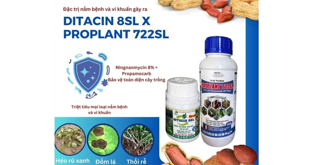https://cdn.kiotvietweb.vn/merchant/9df8933e51ccd9a88c813fc208fd7f41/cropped/1758356154/crop-file.webp