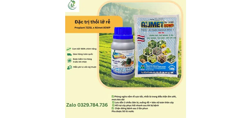 https://cdn.kiotvietweb.vn/merchant/9df8933e51ccd9a88c813fc208fd7f41/cropped/1758356178/crop-file.webp