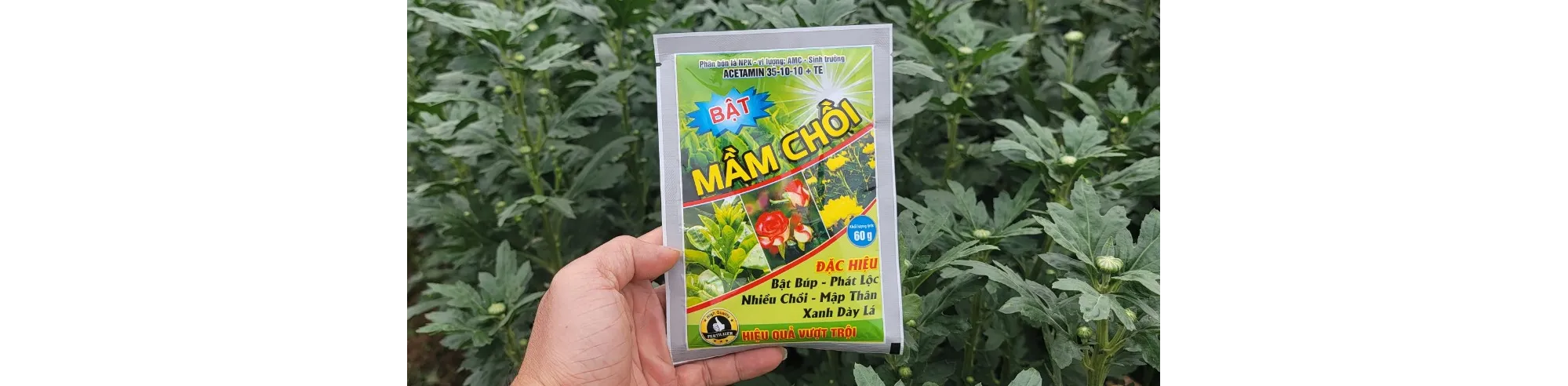 ảnh small 1