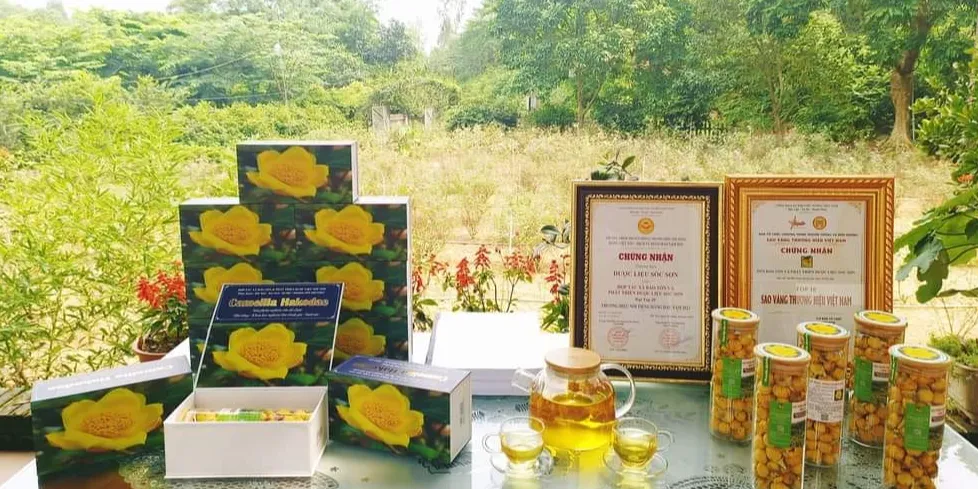 https://cdn.kiotvietweb.vn/merchant/a22a28a4f7833c6eae0d5186096fc4fd/cropped/1747451136/crop-file.webp