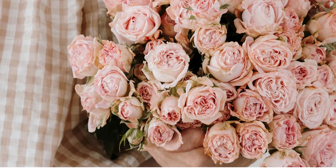 https://cdn.kiotvietweb.vn/merchant/a37d3532b85e4fafbd5e4dd540f9807d/cropped/1775828785/crop-file.webp