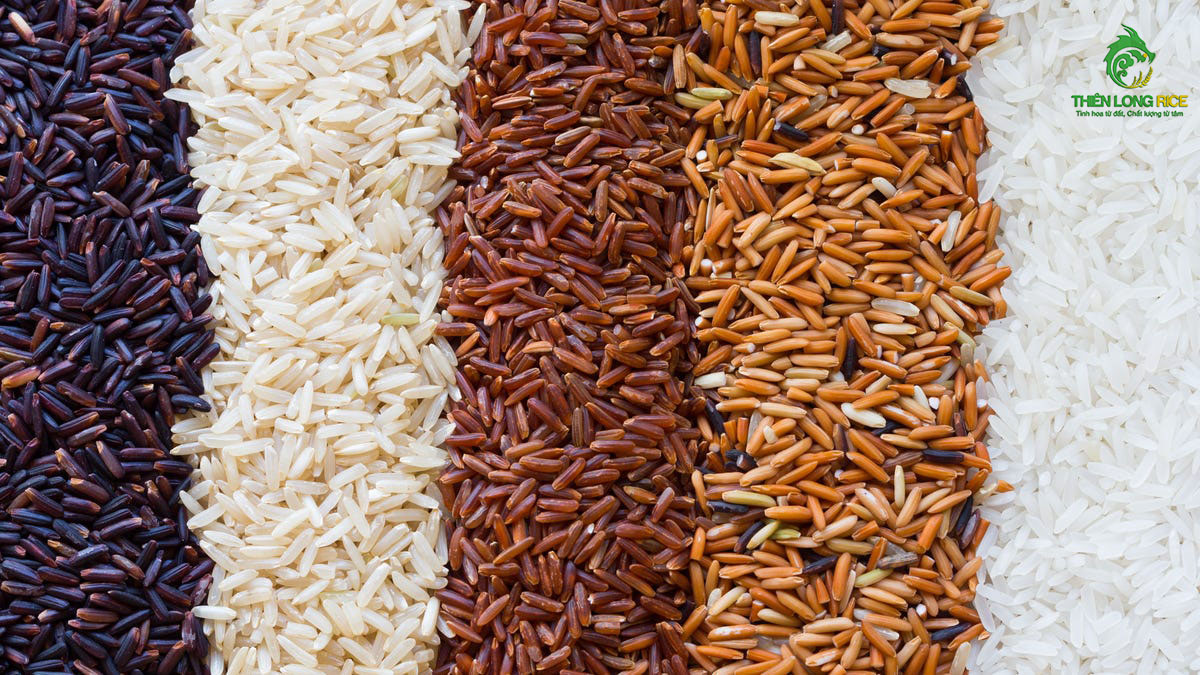 Gạo Lứt – Các loại, công dụng, giá bán và cách sử dụng