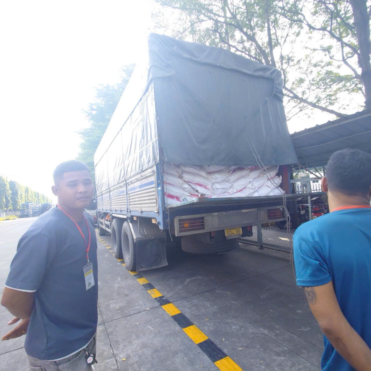 Bảng Giá Gạo Sỉ Hôm Nay Cập Nhật Mới Nhất Tại Kho Thiên Long Rice