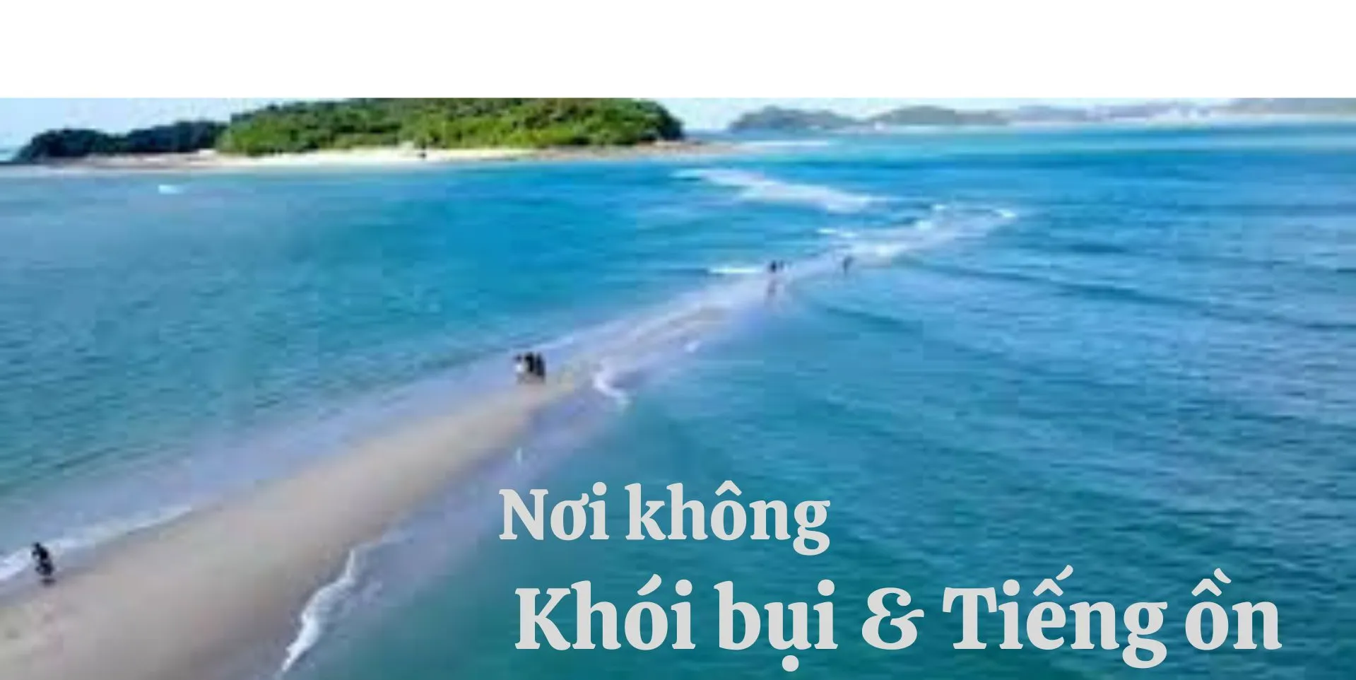 ảnh small 2