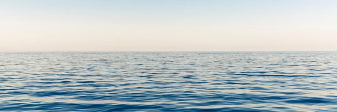 ảnh 1