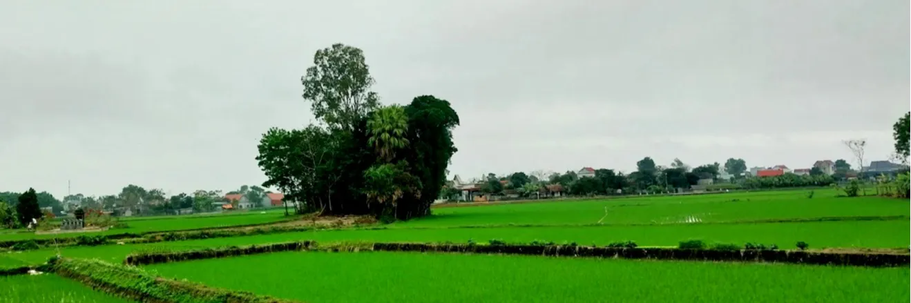 ảnh 1