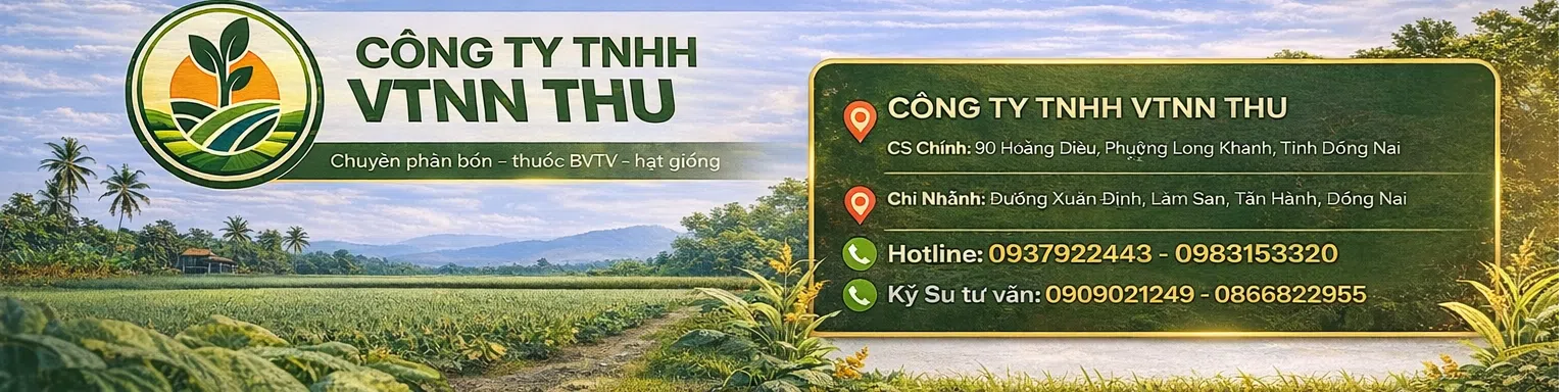 ảnh 1