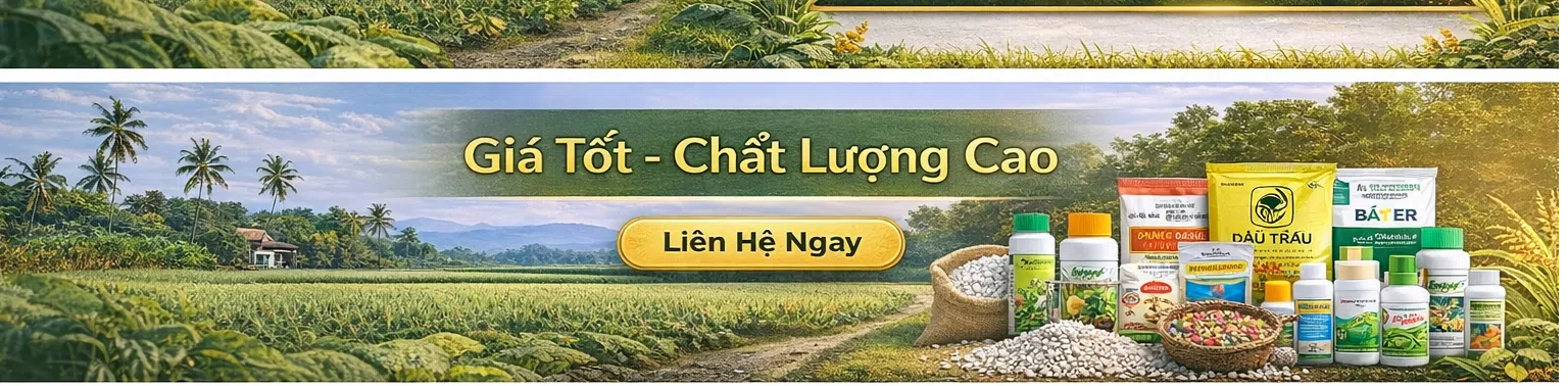 ảnh small 1