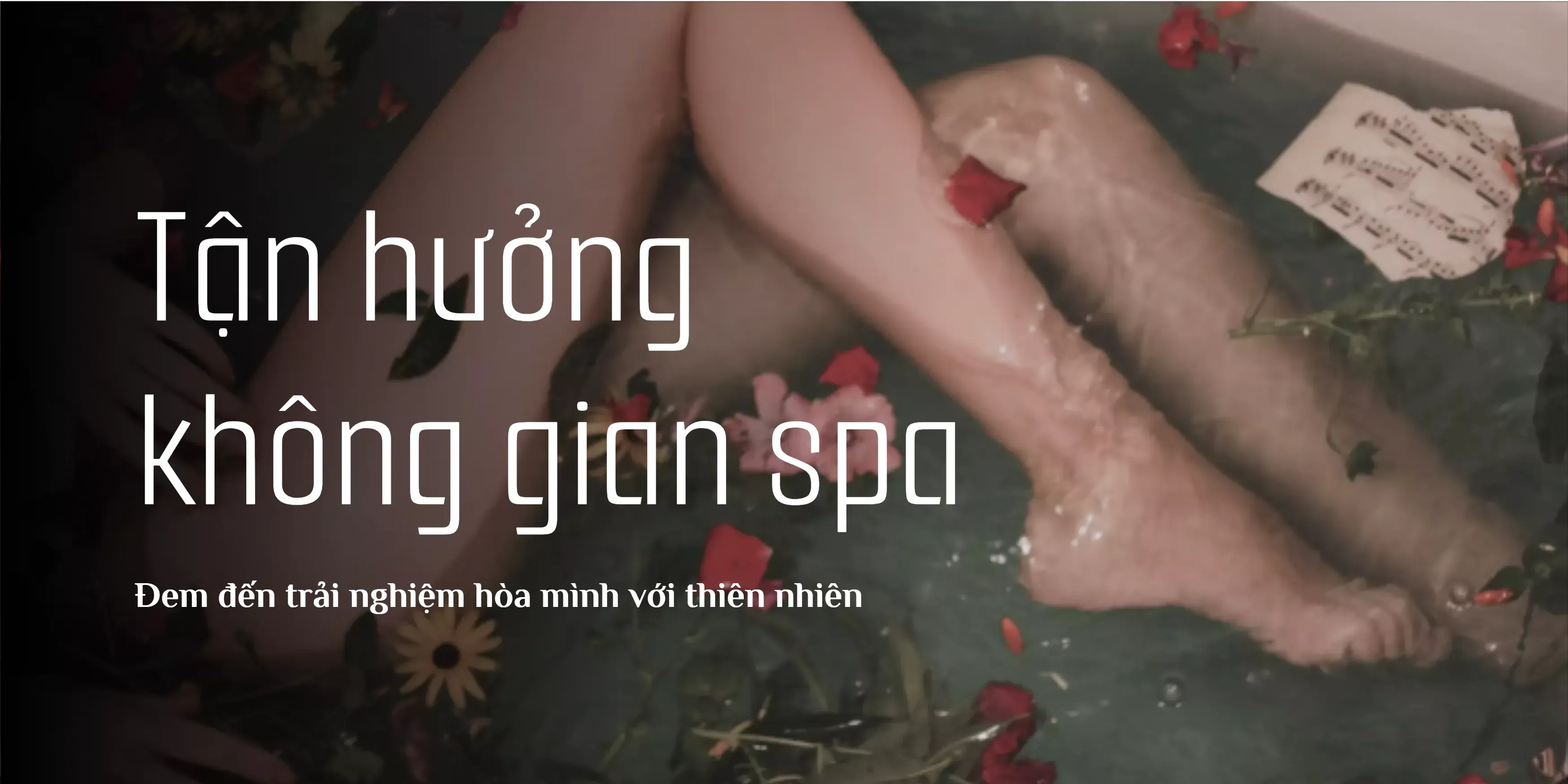 https://cdn.kiotvietweb.vn/merchant/b84a3ec22d5a93ec355094a1cb9207f9/cropped/1749199875/crop-file.webp