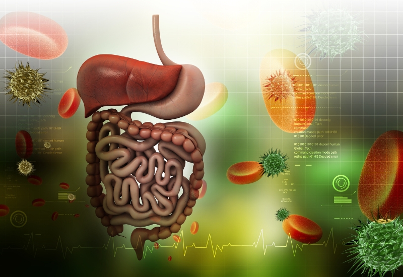 Thải Độc Chân Kinh Phần 1