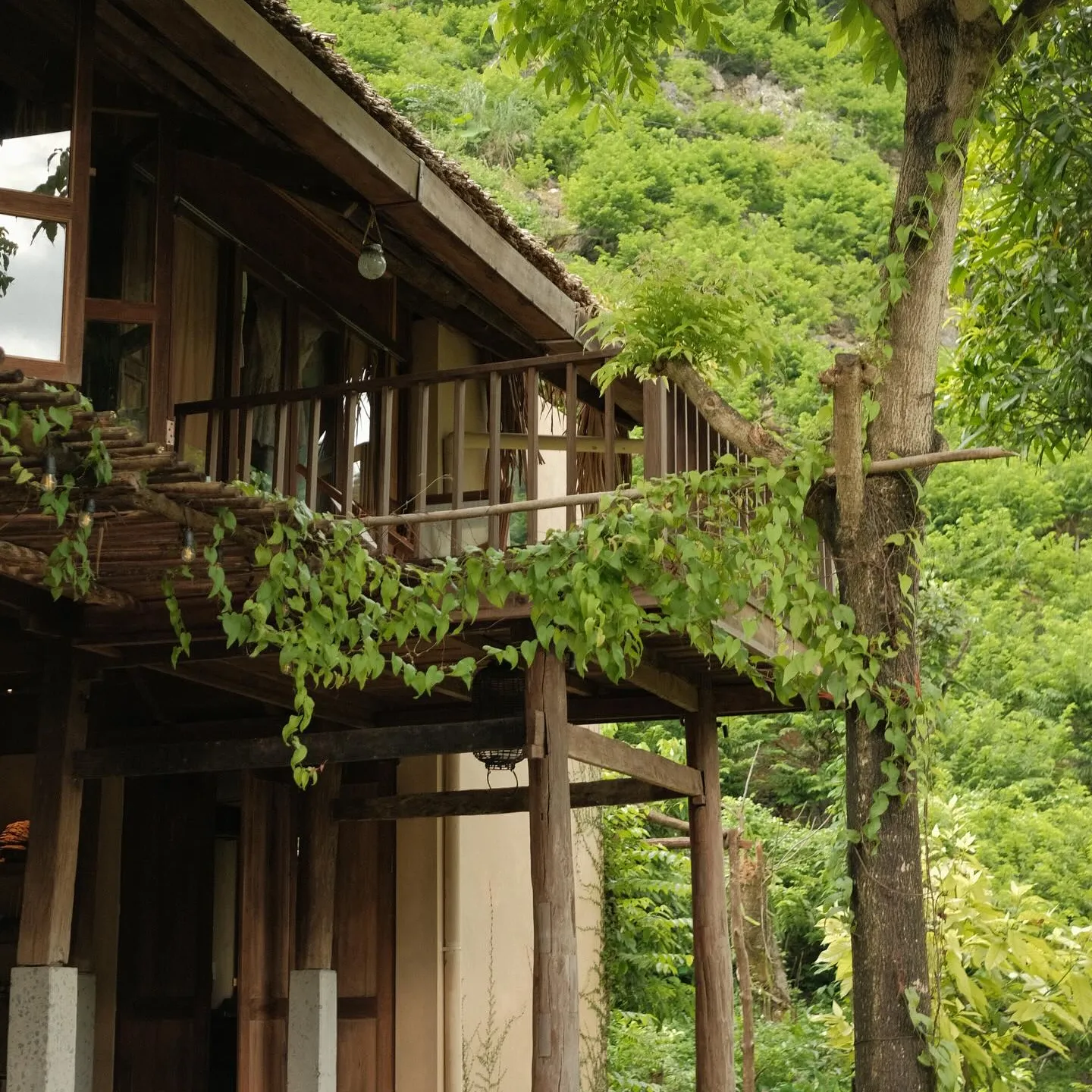 image_gallery 2