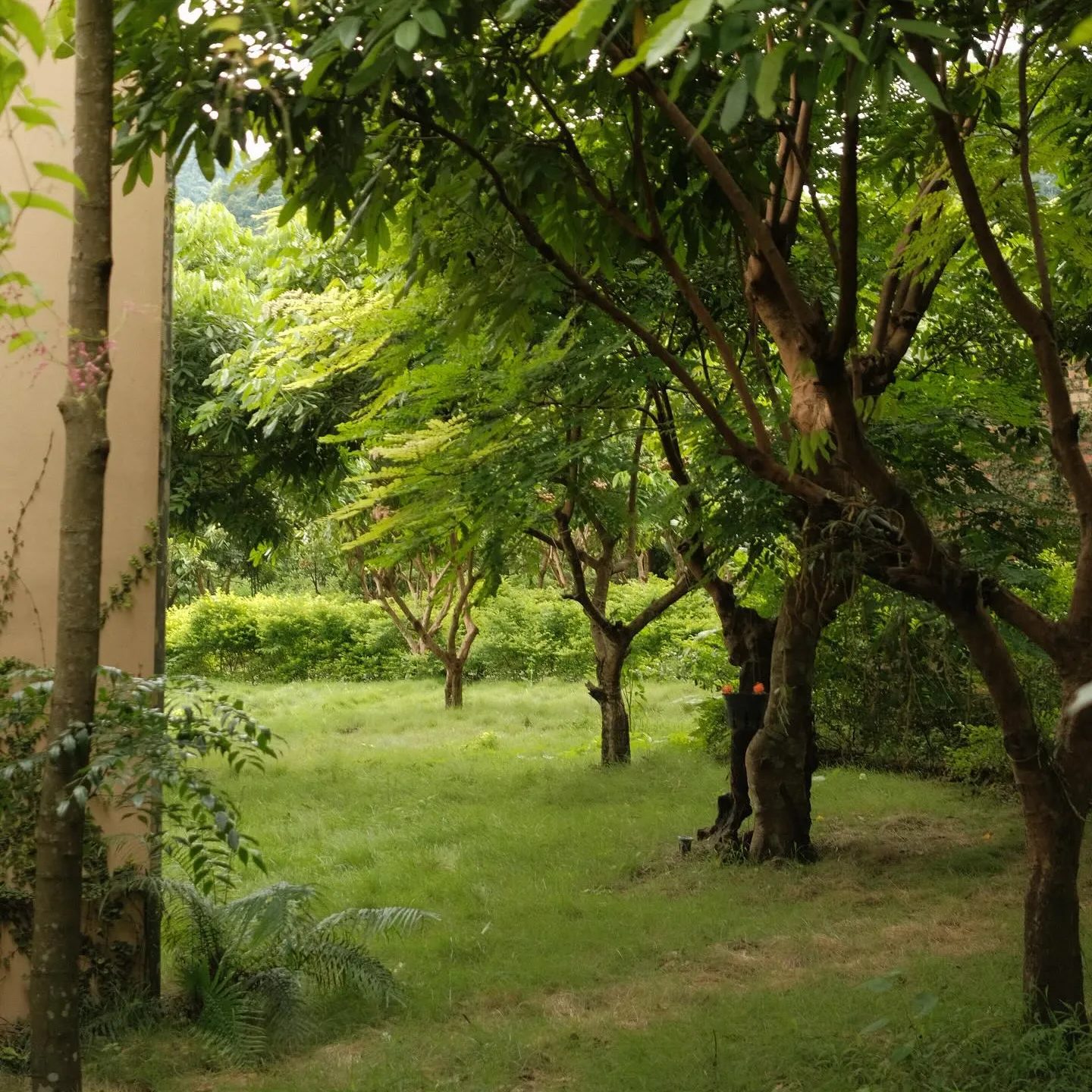 image_gallery 1