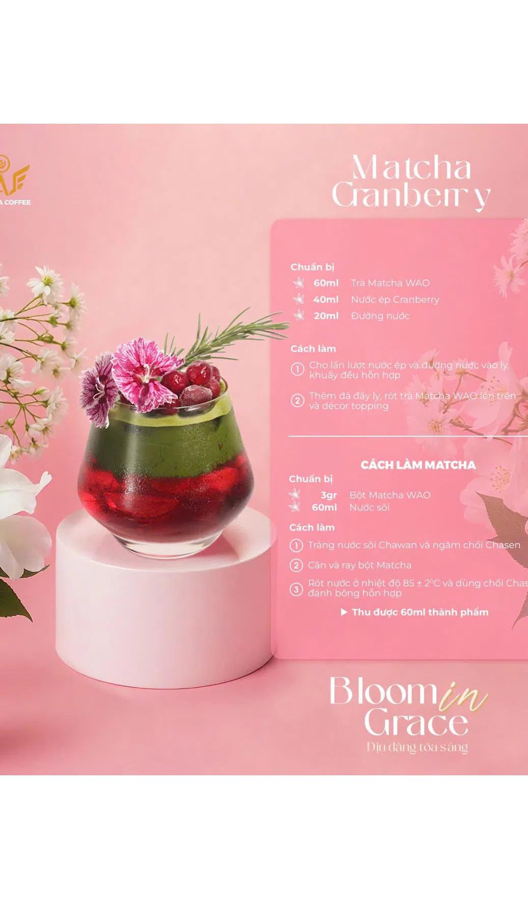 Sản phẩm mới nhất