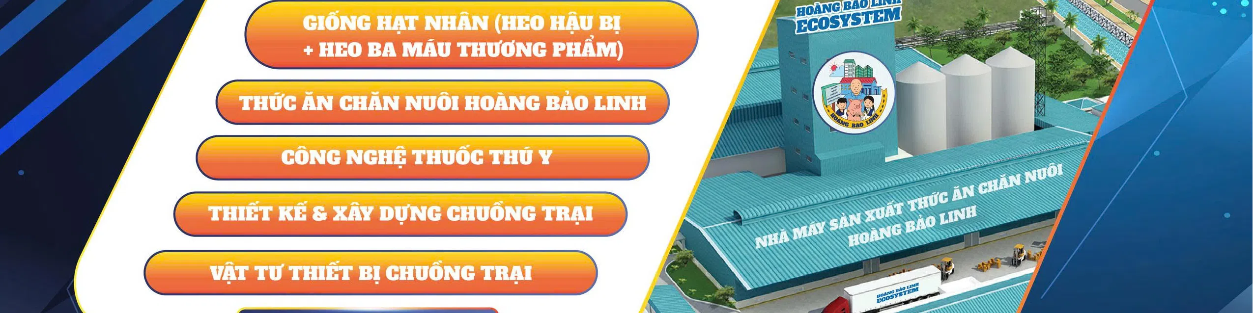 ảnh 1
