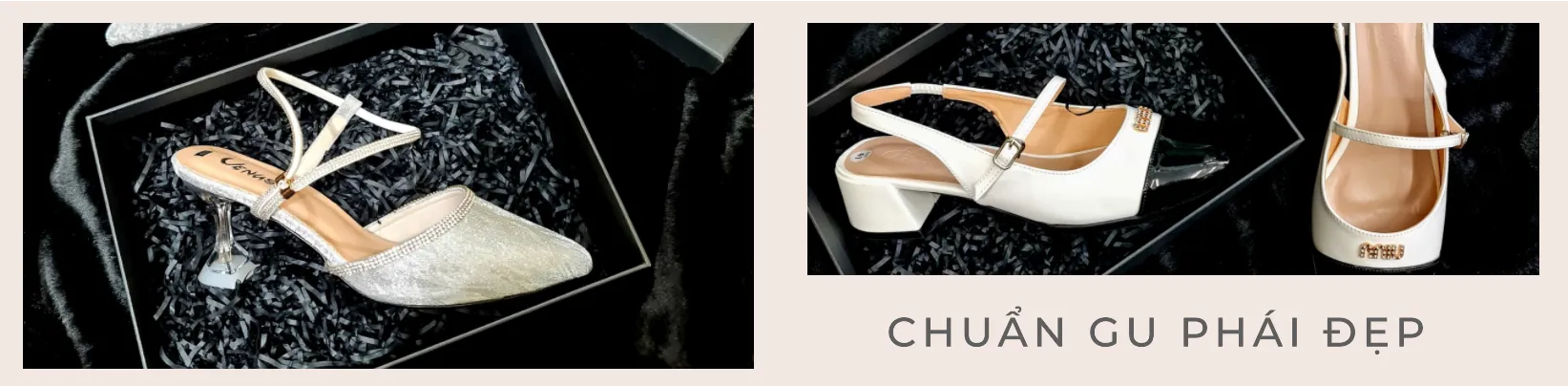 ảnh small 2