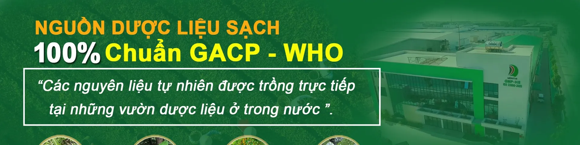 ảnh 1