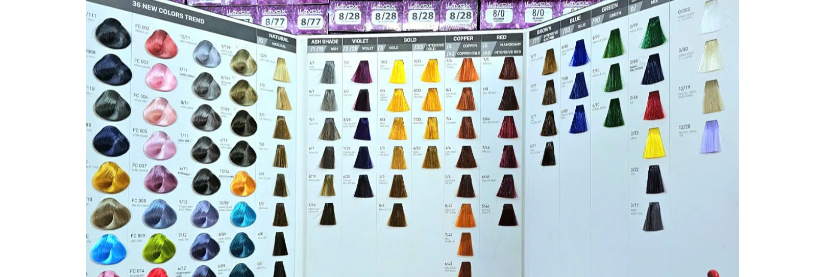 ảnh 1