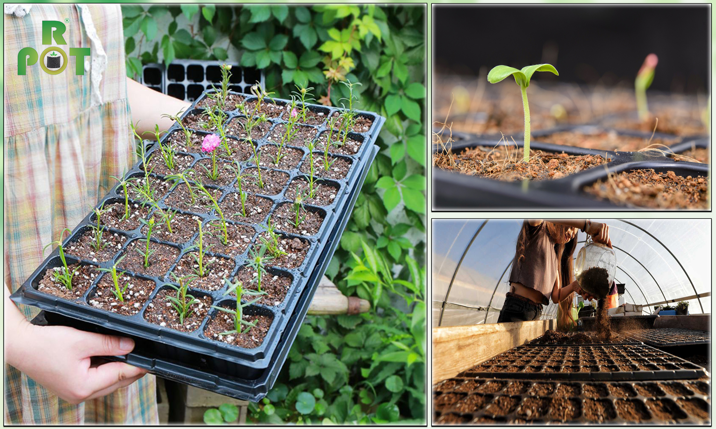 Các Loại Khay Ươm Hạt Giống Tăng Tỉ Lệ Nảy Mầm