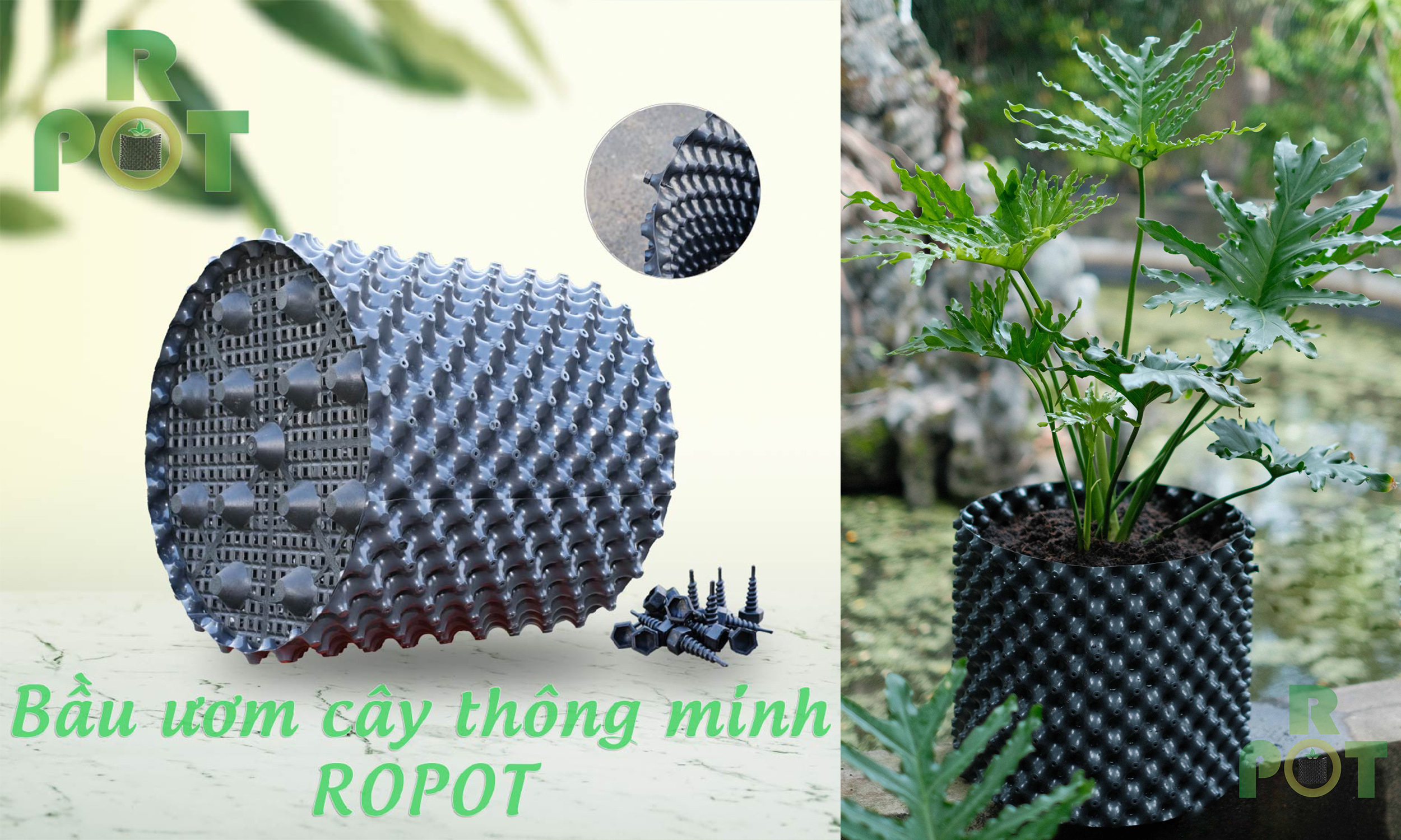 Bầu ươm Ropot giúp cây trồng phát triển