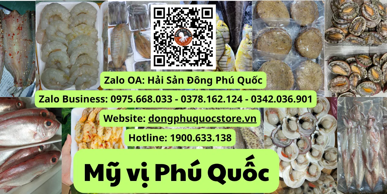 ảnh 1