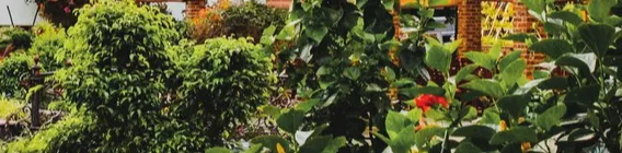 ảnh small 2