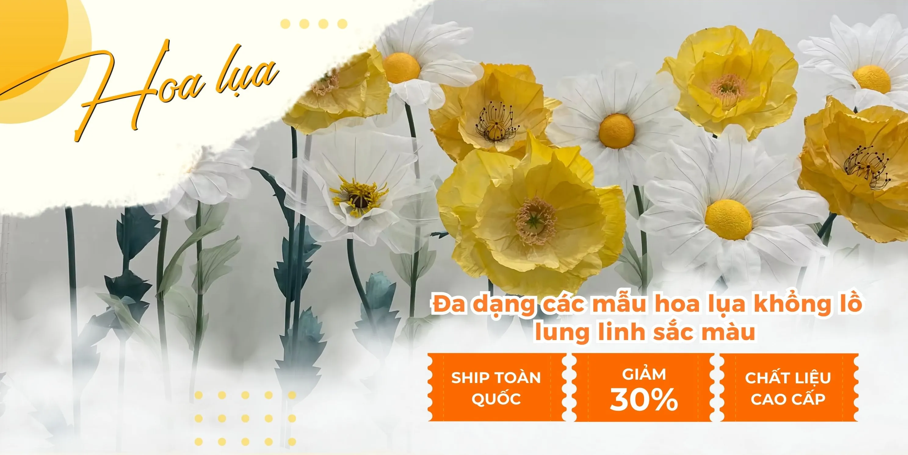 ảnh small 1